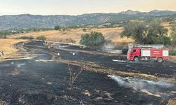 Bilecik Yenipazar'da Biçilmiş Buğday Tarlasında Yangın Çıktı
