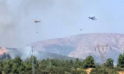 Bilecik'te Orman Yangınına Karadan ve Havadan Müdahale Sürüyor