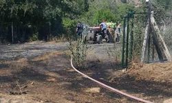 Bilecik'te Otluk Alandaki Yangın Ormana Sıçramadan Söndürüldü