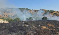 Bingöl Genç'te Kırsal Yangın Kontrol Altına Alındı