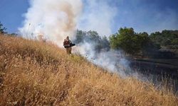 Bingöl'de Mera Yangını Ekiplerin Müdahalesiyle Kontrol Altına Alındı