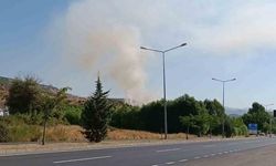 Bingöl'de Otluk Alanda Çıkan Yangın Hızla Söndürüldü