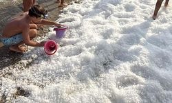 Bodrum'da Sıcaklara Karşı Yenilikçi Çözüm: Sahile 2 Ton Buz Serildi
