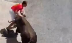 Boğanın Boynuzuna Maruz Kalan Kişi Baygınlık Geçirdi