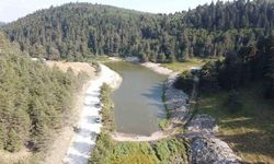 Bolu Mudurnu'da Sarpıncık Göleti Orman Yangınlarına Karşı Yeniden Hazırlandı