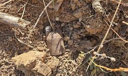 Bursa Orhangazi'de Kurtuluş Savaşı dönemine ait el bombaları bulundu