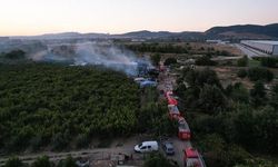 Bursa'da Çiftlik Yangını Havadan Görüntülendi