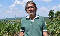 Bursa'dan Bilecik'e Yaban Mersini Yatırımı: Emekli Mehmet Demir'in Başarısı