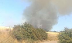 Çanakkale Ezine'de Orman Yangını Havadan ve Karadan Müdahale Ediliyor