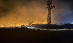 Çanakkale'de Otluk Alanda Çıkan Yangın Hızla Kontrol Altına Alındı