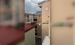 Çatıda Mahsur Kalan Kedi Ütü Masasıyla Kurtarıldı