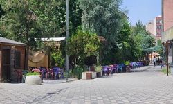 Cizre'de Sıcaklık Rekoru: Termometreler 49 Dereceyi Gösterdi