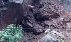 Dağ keçisinin metrelerce yüksekten atlayışı izleyenleri büyüledi