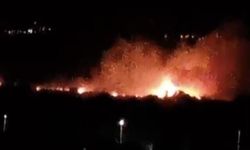 Denizli Sarayköy'de Ovalık Alanda Çıkan Yangın Kontrol Altına Alınmaya Çalışılıyor