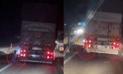Denizli'de Kamyonetin Arkasına Bağlanan Köpek Kilometrelerce Sürüklendi