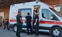 Diyarbakır Ergani'de Kamyonet ve Motosiklet Çarpıştı: 1 Ölü, 1 Yaralı