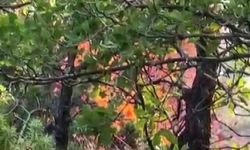 Diyarbakır'da Kırsal Alanda Örtü Yangını Kontrol Altına Alınmaya Çalışılıyor