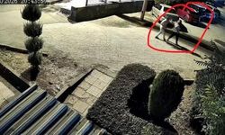 Diyarbakır'da Kucağında Çocuğu Varken Silahlı Saldırıya Uğrayan Kadın Hayatını Kaybetti