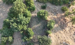 Diyarbakır'da Uyuşturucuya Büyük Darbe: 17 Şüpheli Yakalandı