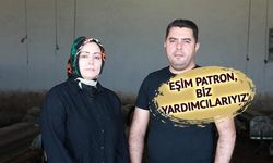 Elazığ'da kadın girişimci devlet desteğiyle 500 başlık küçükbaş çiftliği kurdu