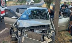 Elazığ'da otomobilin ağaca çarpması sonucu 4 kişi yaralandı