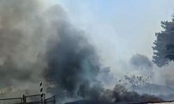 Eskişehir Odunpazarı'nda Otluk Alanda Geniş Yangın