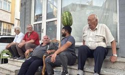 Eskişehirli İnşaat Ustasının Meyve Oyma Sanatındaki Ustalığı Dikkat Çekiyor