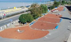 Fındıkta Kurutma Mesaisi Başladı: Üreticiler Sahil Yolunda Nöbet Tutuyor