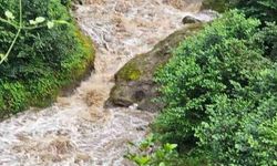 Giresun'da sel sularına kapılan anne ve iki kızı için arama çalışmaları sürüyor