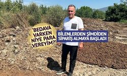 Gürsu'da Meyve Üreticisi Kimyasal Gübreyi Bıraktı, Maliyeti Sıfırladı