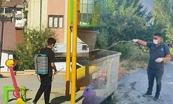 Hakkari'de Kara Sinek Mücadelesi Yoğunlaşıyor