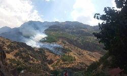 Hakkari'de Orman Yangınına Müdahale Eden Arazöz Zap Suyu'na Uçtu: 3 Yaralı