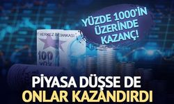 Halka Arz Endeksinde Seçici Fiyatlama: Türker Veyas ve Diğerleri Öne Çıktı