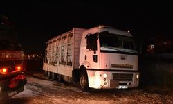 Hendek'te Asit Sızıntısı: Tuz Ruhu Taşıyan Kamyondaki Tehlike ve 2 Yaralı