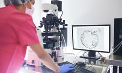 Hollandalı Sperm Donörünün 199 Çocuğun Biyolojik Babası Olduğu Ortaya Çıktı
