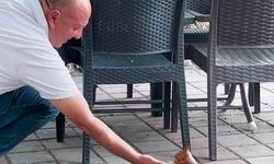İnegöl'de Kahvehaneye Gelen Sincap, Ellerle Beslenerek İlgi Odağı Oldu