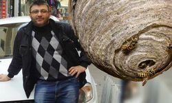 Isparta'da Eşek Arısı Saldırısı Sonrası Tedavi Gören Zafer Kaya Hayatını Kaybetti