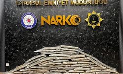 İstanbul Zeytinburnu'nda 83 Kilogram Skunk Ele Geçirildi, Sürücü Gözaltında