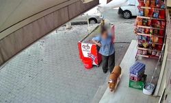 İzmir'de Pitbull Saldırısı: 5 Çocuk Annesinin Parmağı Koparak Kurtuldu