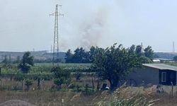 Karacabey Hayırlar Mahallesi'nde Makilik Alanda Orman Yangını Çıktı
