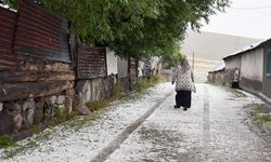 Kars'ta Sağanak ve Dolu Yaşamı Olumsuz Etkiledi