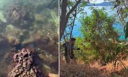 Kaş'ta denize atık su karışması nedeniyle ASAT'a 839 bin lira ceza kesildi