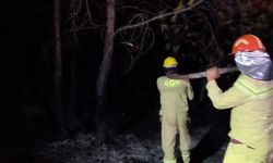 Kaş'taki orman yangını büyük ölçüde kontrol altına alındı