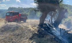 Kastamonu Hanönü'nde Tarlada Çıkan Örtü Yangını Hızla Söndürüldü