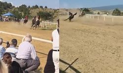 Kastamonu'da at yarışında başıboş atın çarpması sonucu 2 at öldü, 1 jokey yaralandı