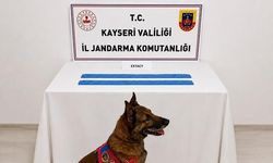 Kayseri'de Jandarmadan Uyuşturucu Operasyonunda 1 Kişi Gözaltına Alındı