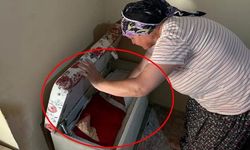 Kıbrıs Barış Harekâtı'ndan kalan tarihi Türk bayrağı restore edilecek