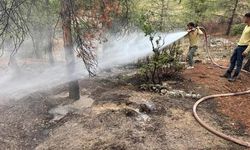 Kilis'te Yıldırım Nedeniyle Çıkan Orman Yangını Hızla Söndürüldü