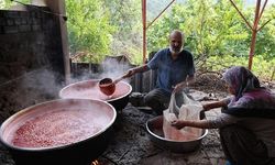 Kızılcık Şerbeti Kozan'da Geleneksel Yöntemlerle Hazırlanıyor: Dalında 100 TL, Şerbette Bin TL'ye Satılıyor