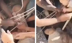 Kolombiya'da 7,4'lük Depremde Enkaz Altından Kurtarılan Bebek Mucizesi